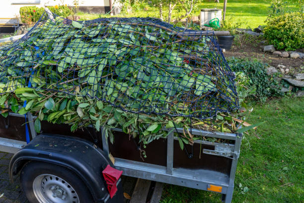 Best Estate Cleanout  in East Freehold, NJ